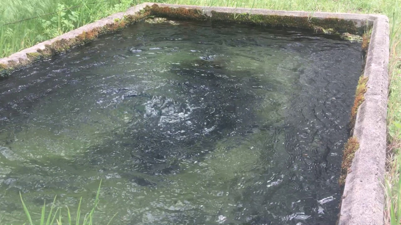 Historic Diamond Spring, a stop on the Santa Fe Trail near Diamond