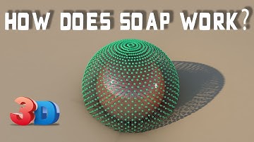 How does soap work? (3D Animation)