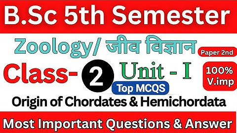 BSc 5th semester Zoology Mcqs paper 2nd unit 1| Origin of Chordates & Hemichordata ( Class 02)