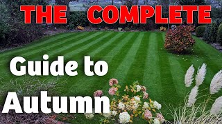 The BIGGEST ever autumn lawn tips compilation - An hour of lawn care Advice by Premier Lawns 13,958 views 7 months ago 1 hour, 1 minute