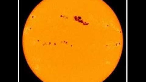 Memory Maze - Modern Spring