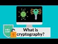 Cryptography in Cyber Security: Types & Essential Insights 🔐