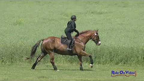 085XC Paula Sweeney on Fernhill Jupiter SR Trainin...
