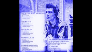 Mike Bloomfield (John Hammond Session 1964) screenshot 4