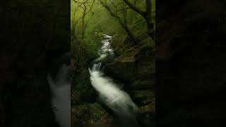 Sura Al-Kahf 1-3, Saad Al Ghamidi