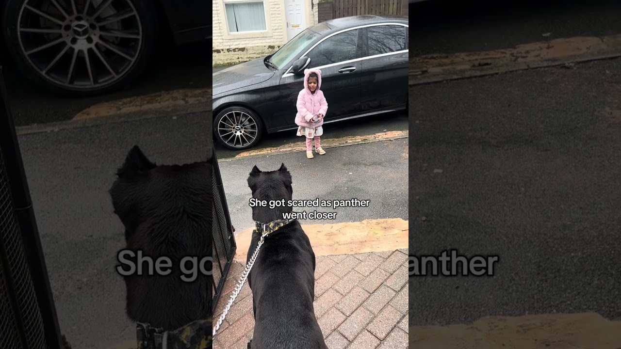 Feeding the dogs didn’t go as planned 😭