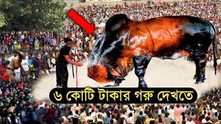 ৬ কোটি টাকায় কোরবানির গরু লাখো মানুষের ভিড় || আল্লাহর কুদরত || ইসলামিক কাহিনী