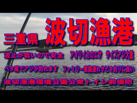 #16三重県波切漁港波止が低いので釣りやすいですファミリー家族連れサビキ釣りに良いですイカエサのサイズアジ大量に釣れます多くはサビキ下カゴ付近で釣れてます