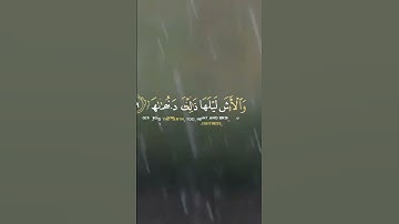 ءأنتم أشد خلقا أم السماء بناها💫/ تلاوة بصوت مؤثر🤍 / حالات واتساب.