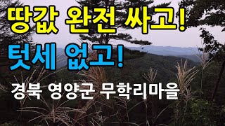 귀촌하기 좋은 시골마을을 찾아서(경북 영양군 영양읍 무학리 마을)