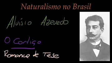 O que é o Naturalismo Quais as principais características desse movimento?