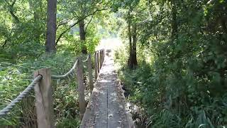 Going back by land bridge beautiful day with sun | FREE TO USE   4k No Copyright videos |