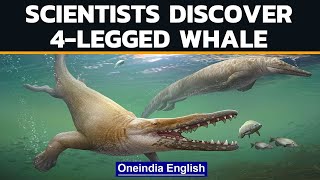Ancient whale with 4 legs discovered by Egyptian scientists | Oneindia News