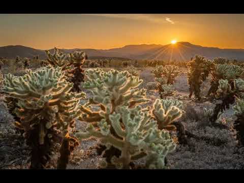 Video: Kofa National Wildlife Refuge: la guida completa