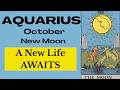 Aquarius You Kept Your Dream Alive – Now A New Life Brings Prosperity Flowing In! 🌑 Oct. New Moon