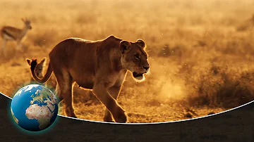 The Fascinating World of Sounds in Nature