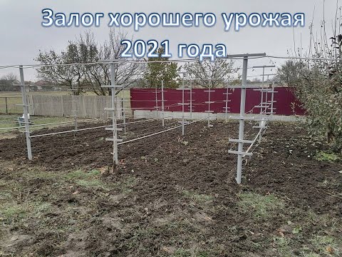 Подкормка для винограда и сада. Внесение минеральных удобрений осенью.