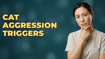 What Triggers Redirected Aggression In My Cat?