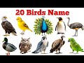 20 Birds Name 🐦 | बच्चों के लिए पक्षियों के नाम | Fun Learning Video