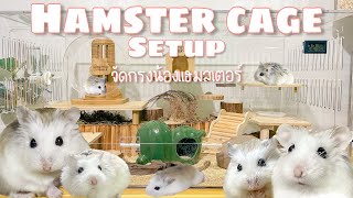 Hamster Cage Setup EP.02 | มาจัดกรงน้องแฮมสเตอร์กัน 🐹