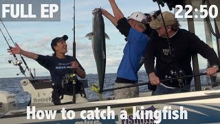 HOW TO CATCH A KINGFISH