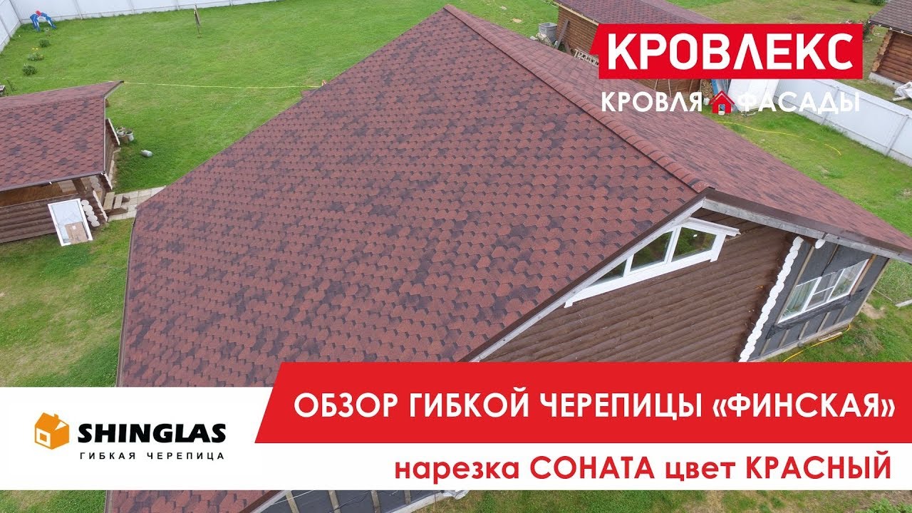 аризона шинглас фото онлайн