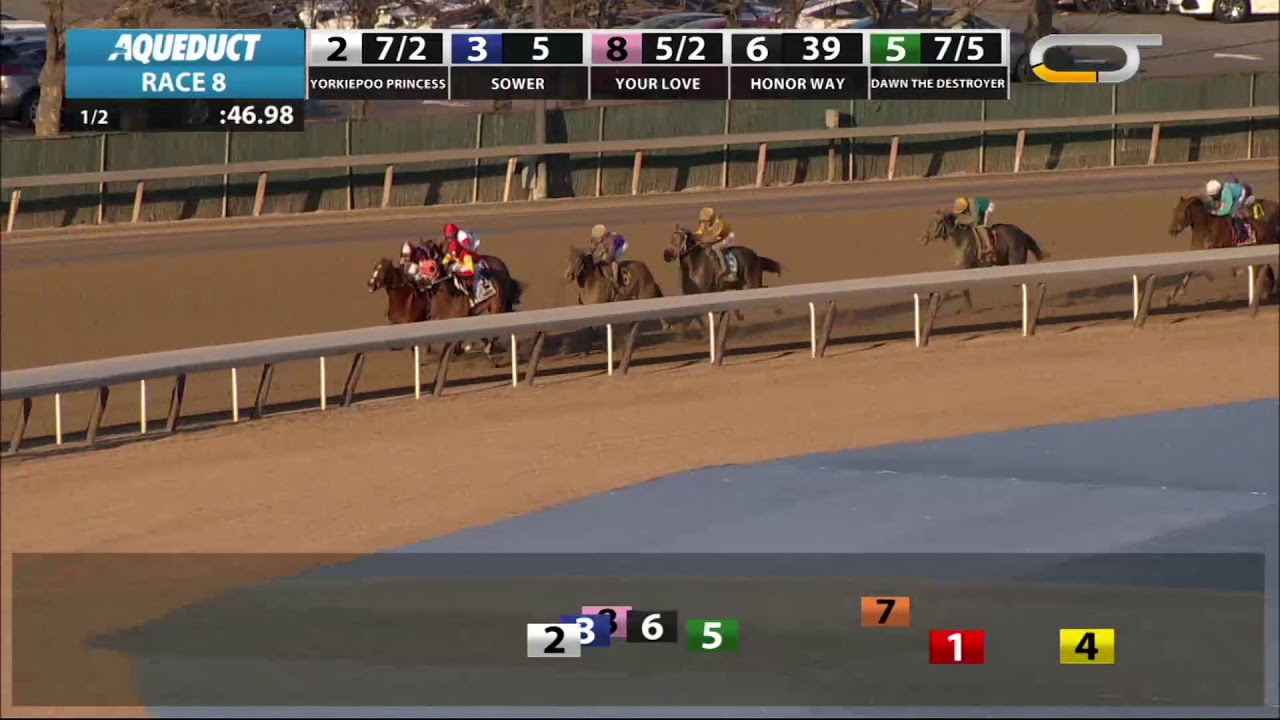 horse racing news Dawn the Destroyer - 2019 - The Interborough Stakes