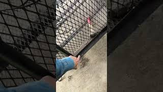 Fixing the Grate on a lawnmower Trailer Welding Job #trailerrepair #weldingproject #mobilewelder ￼