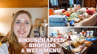 Grocery Shoplog U0026 Weekly Menu  Lidl U0026 Albert Heijn  Dinner Inspiration  Vega  Gwenn U0026 Clean