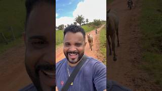 LEVANDO O DOUTORADO PARA O PASTO 🐎