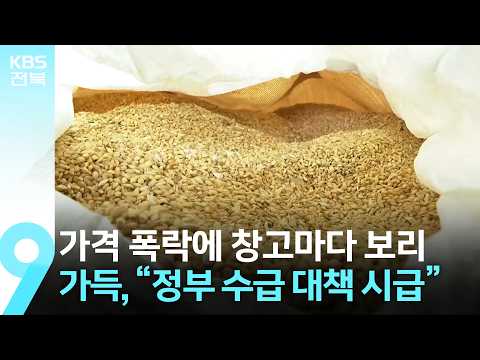 가격 폭락에 창고마다 <strong>보리</strong> 가득…“정부 수급 대책 시급” / KBS  2026.08.14.