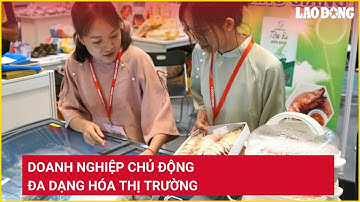 Doanh nghiệp chủ động đa dạng hóa thị trường | Báo Lao Động