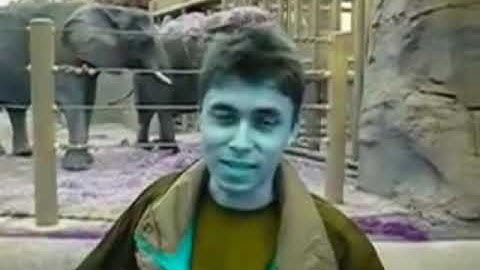 Rj Kumar Version of I Killed Me at the zoo