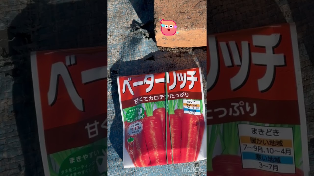 寒い中🥶野菜達は元気で育っているのと不織布の💪