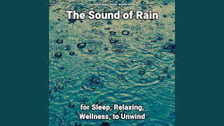 The Sound of Rain Pt. 14