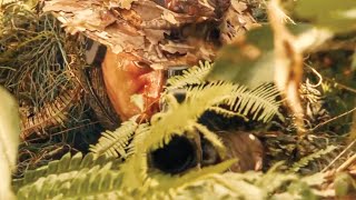 200 Iq The Best Exsniper Slays Drug Lords Singlehandedly