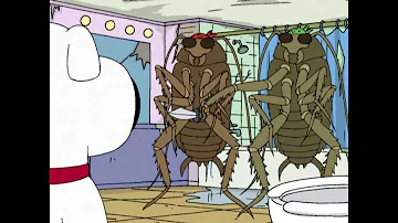 Family Guy Bad Roaches