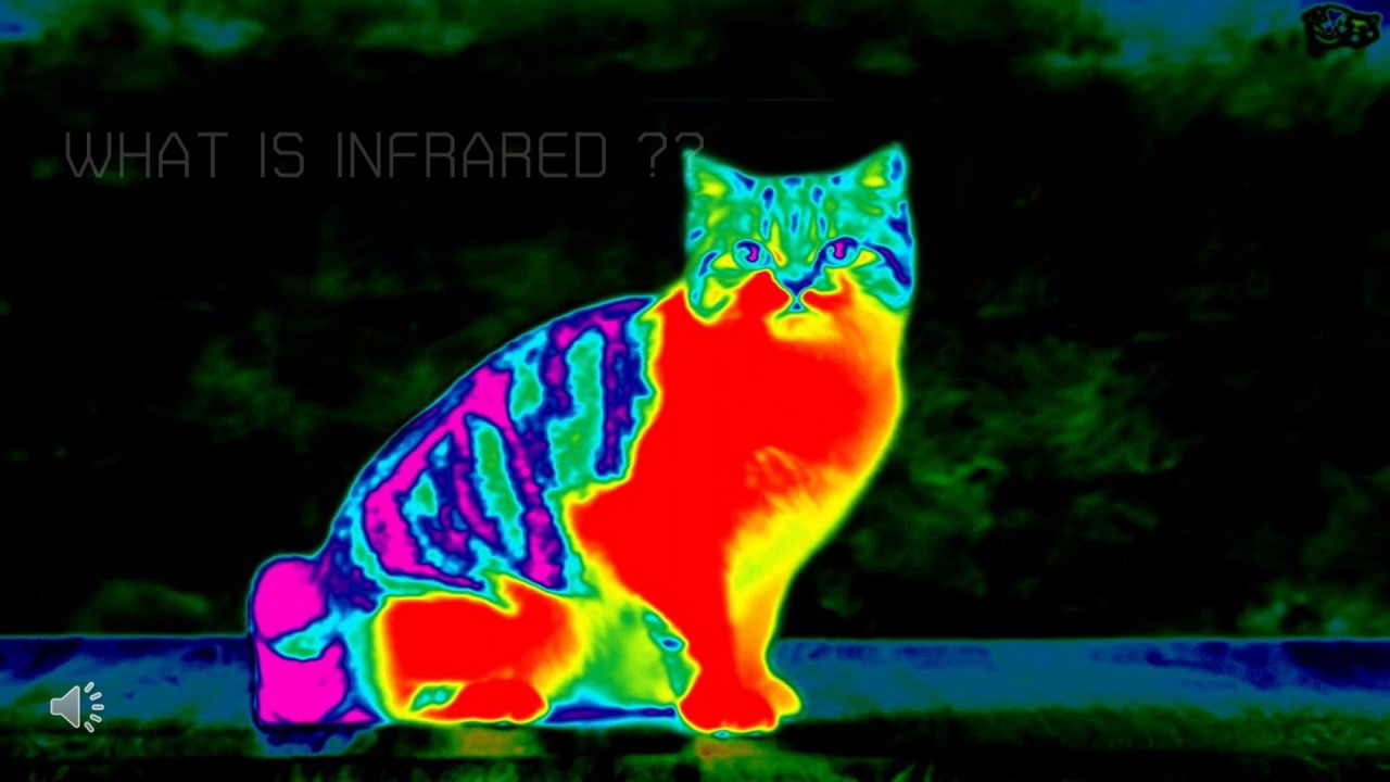 инфракрасное излучение термография. тепловизор снимки. инфракрасное излучение рисунок. инфракрасное излучение тепловизор. инфракрасное излучение рисунок.