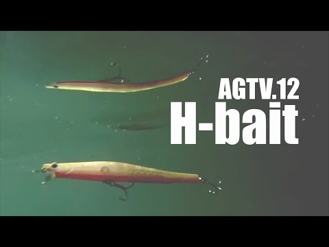 AGTV.12 【 H-bait 】（エイチベイト）松尾道洋解説＆水中動画 - YouTube