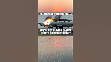 Casual server is the best #shorts #memes #infiniteflight