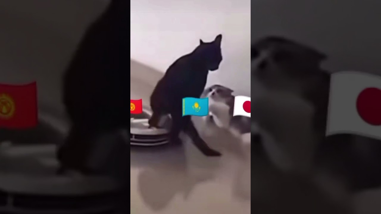 19 июля 2021 г.