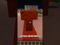 6: Conectar remotamente al servidor