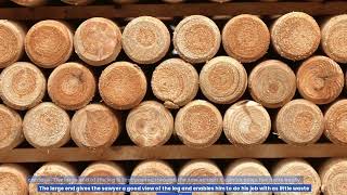 WOOD DEFECTS AND ALTERATIONS