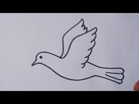 How to Draw a Bird | Easy Step-by-Step Drawing Guides | Bird drawings, Flying  bird drawing, Bird sketch