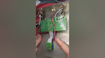 WHAT IS IT GUTS? EHX Big muff edition #bigmuff #guitarpedal #guitar #electronics #electroharmonix