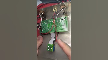 WHAT IS IT GUTS? EHX Big muff edition #bigmuff #guitarpedal #guitar #electronics #electroharmonix