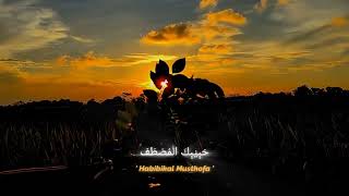 Story WA Sholawat 30 Detik || Story WA Literisasi Sholawat 2022.