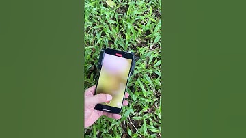 Dive into tiny tiny world with Apexel PhoneMicro 5 #apexel #microscope #microscopechallenge