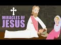 Miracles of Jesus | Animated Children