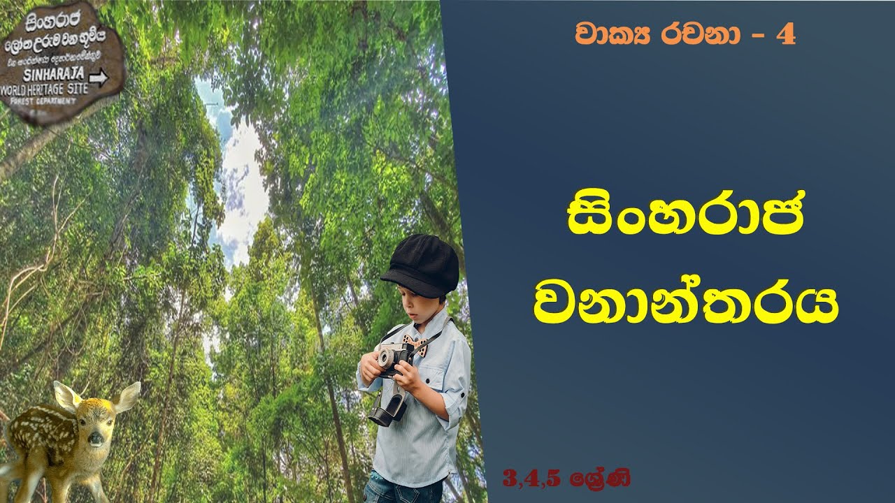 Sinharaja Wanantharaya Sinhala Vakya Rachana Livima Grade 3 4 5 Essay sinharaja-wanantharaya-sinhala-vakya-rachana-livima-grade-3-4-5-essay